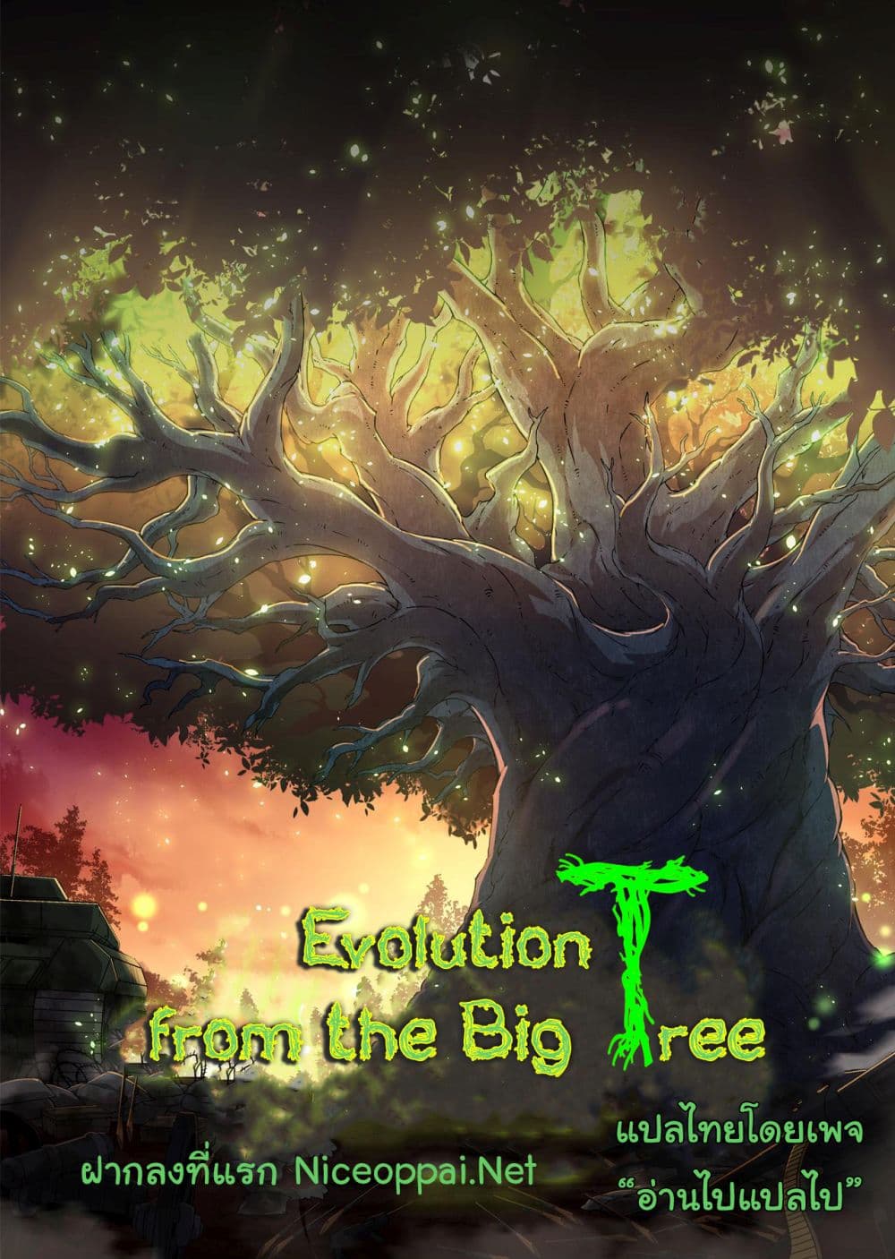 Evolution from the Big Tree Ã Â¸â€¢Ã Â¸Â­Ã Â¸â„¢Ã Â¸â€”Ã Â¸ÂµÃ Â¹Ë† 4 (1)